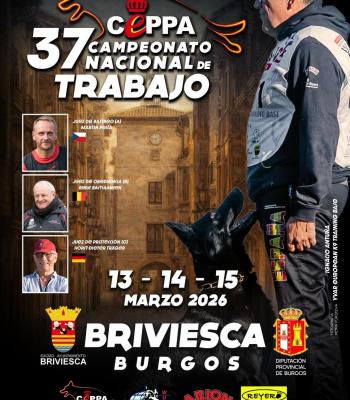 619078393_1183124053980601_4507906364489062150_n.jpg.