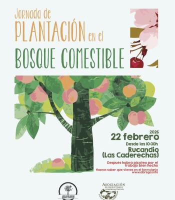 628912541_1348245670675281_8063290431338731700_n.jpg.