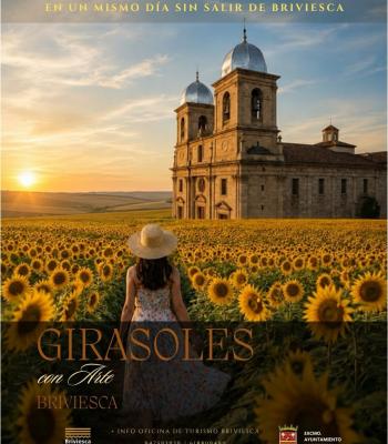 girasoles.jpg.