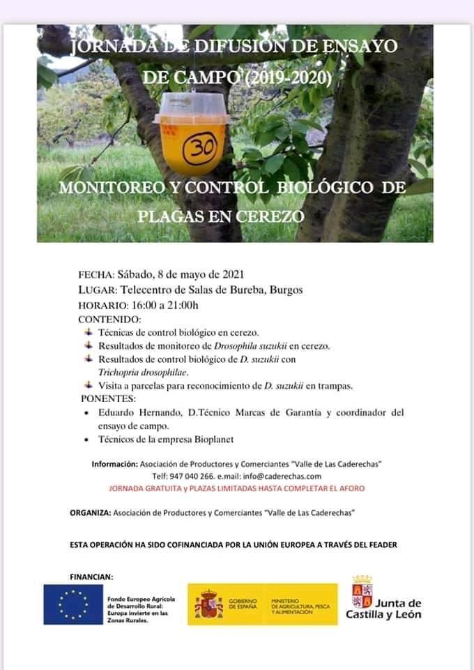 Jornada de difusión de ensayo de campo. Monitoreo y control  biológico de plagas en cerezo.