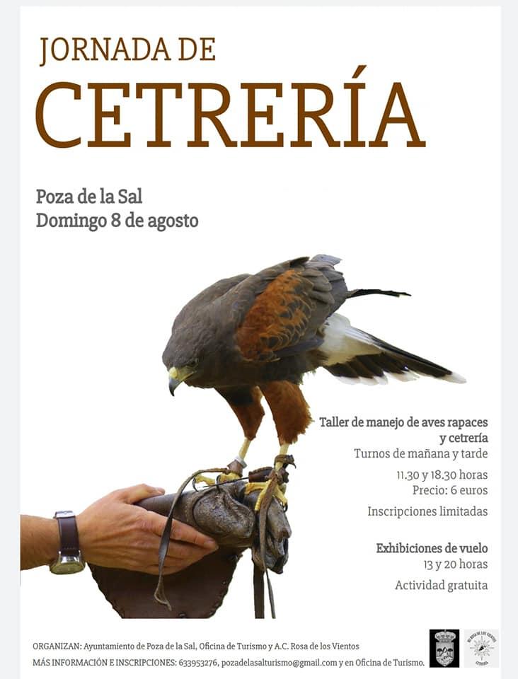 Jornada de cetrería. Poza de la Sal