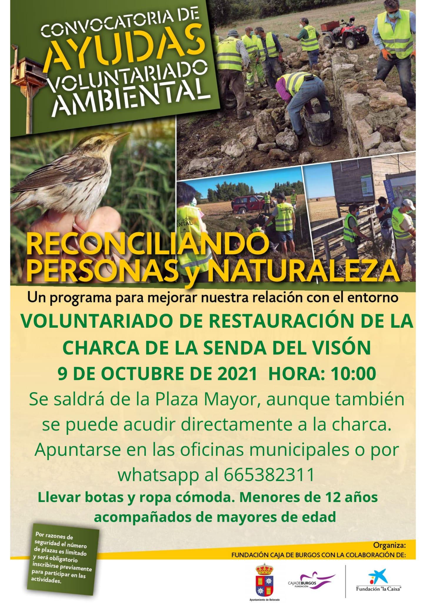 Voluntariado de restauración de la charca del visón