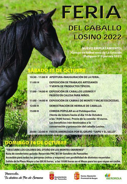 Feria del caballo losino 2022