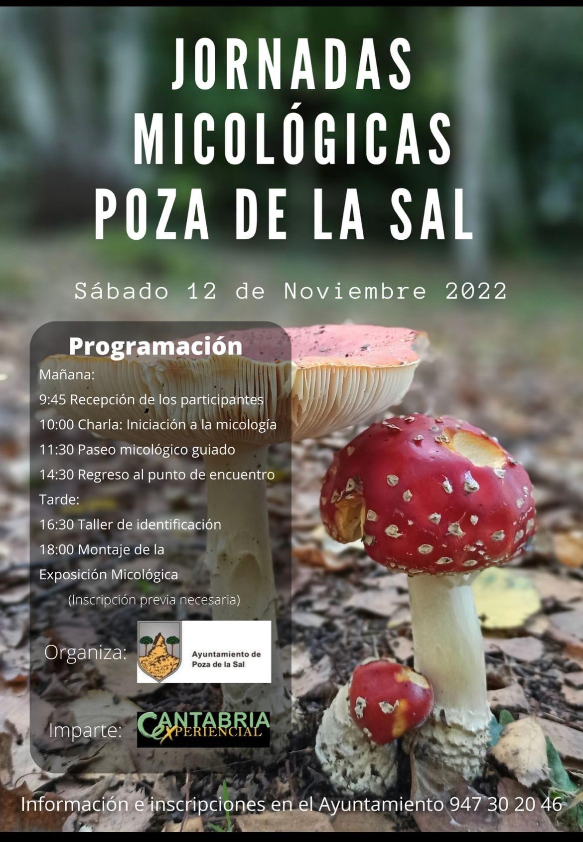 Jornadas Micológicas. Poza de la Sal