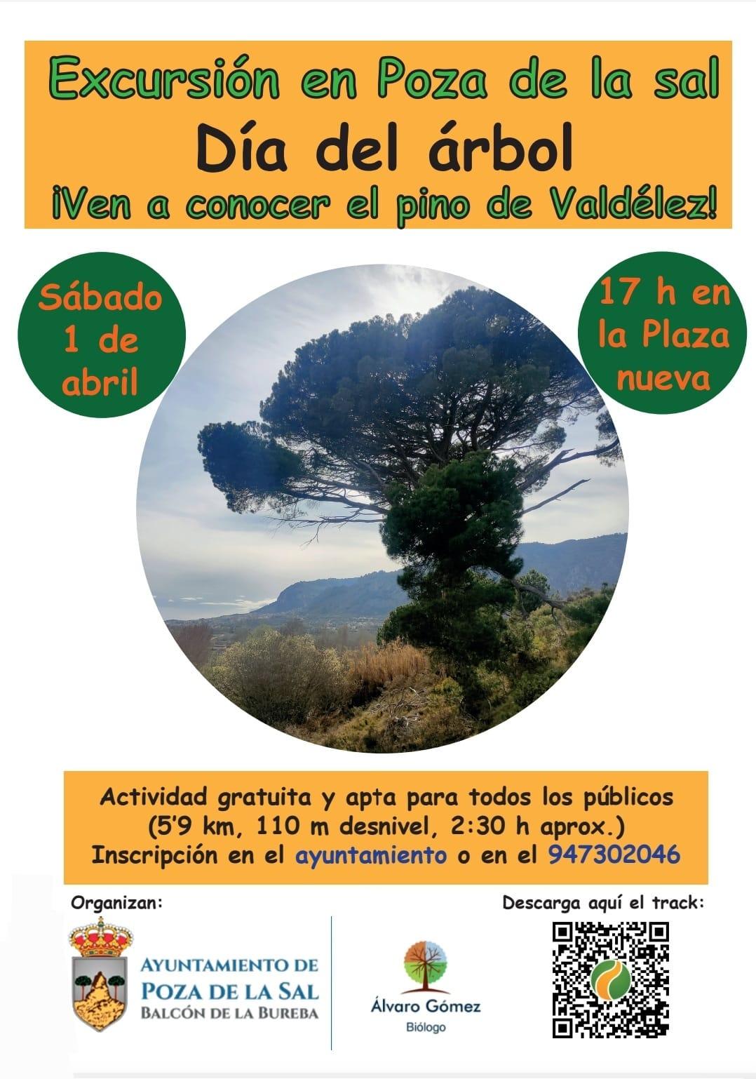 Excursión en Poza de la Sal. Día del árbol