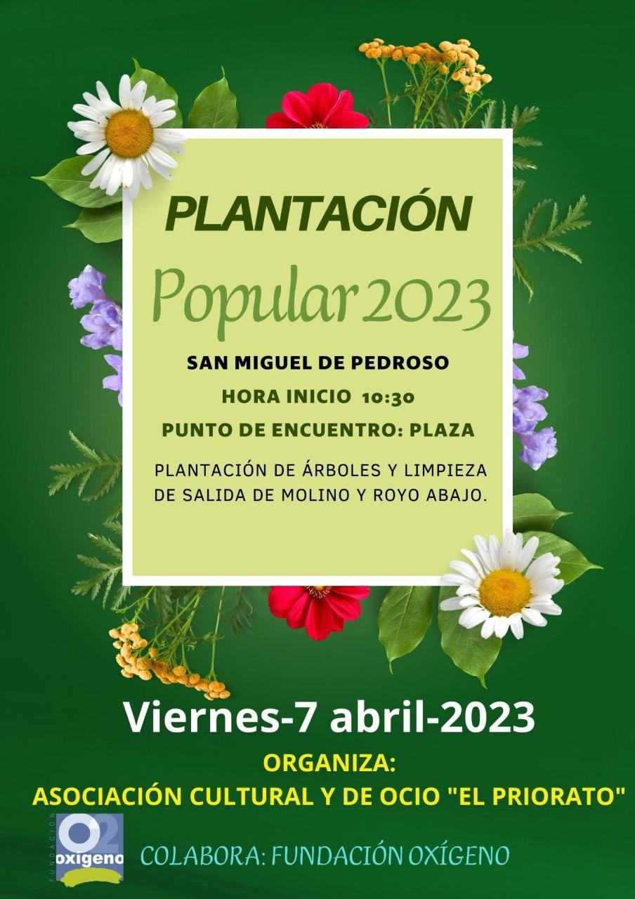 Plantación Popular 2023. San Miguel de Pedroso