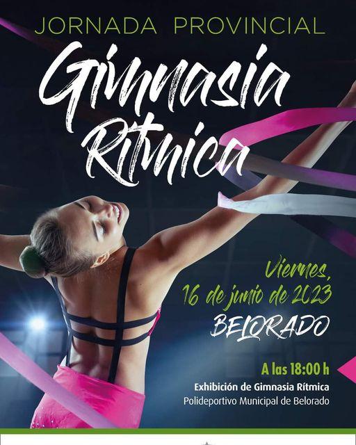Jornada provincial de gimnasia rítmica