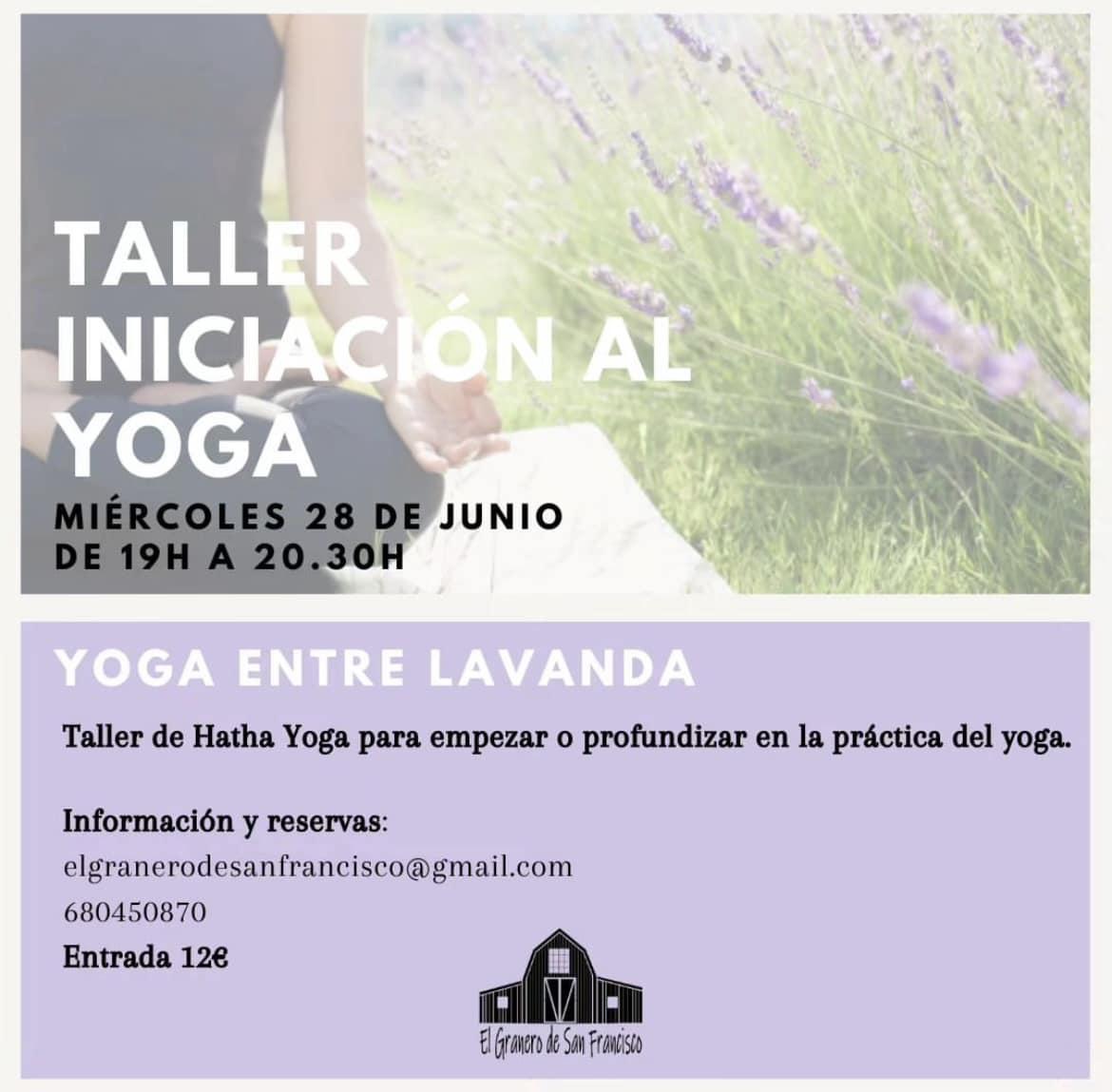 Taller Iniciación al Yoga