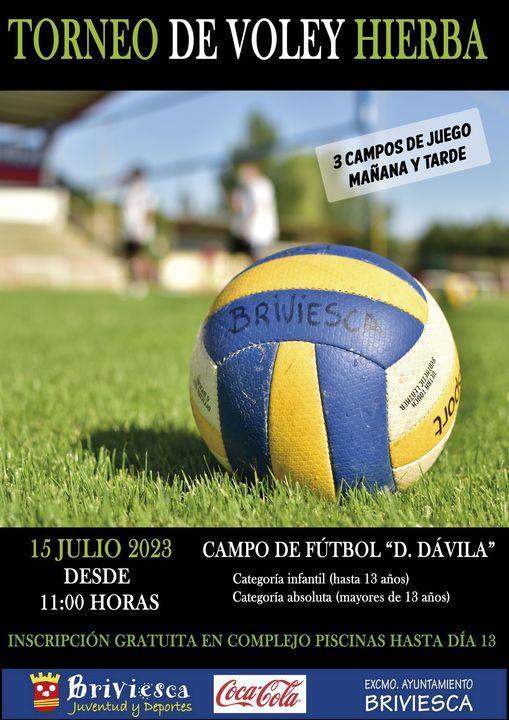 Torneo de voley hierba