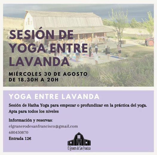 Sesión de yoga entre lavanda