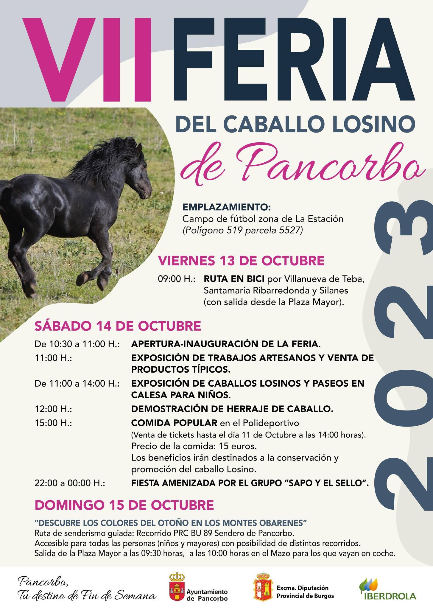 VII Feria del caballo losino de Pancorbo
