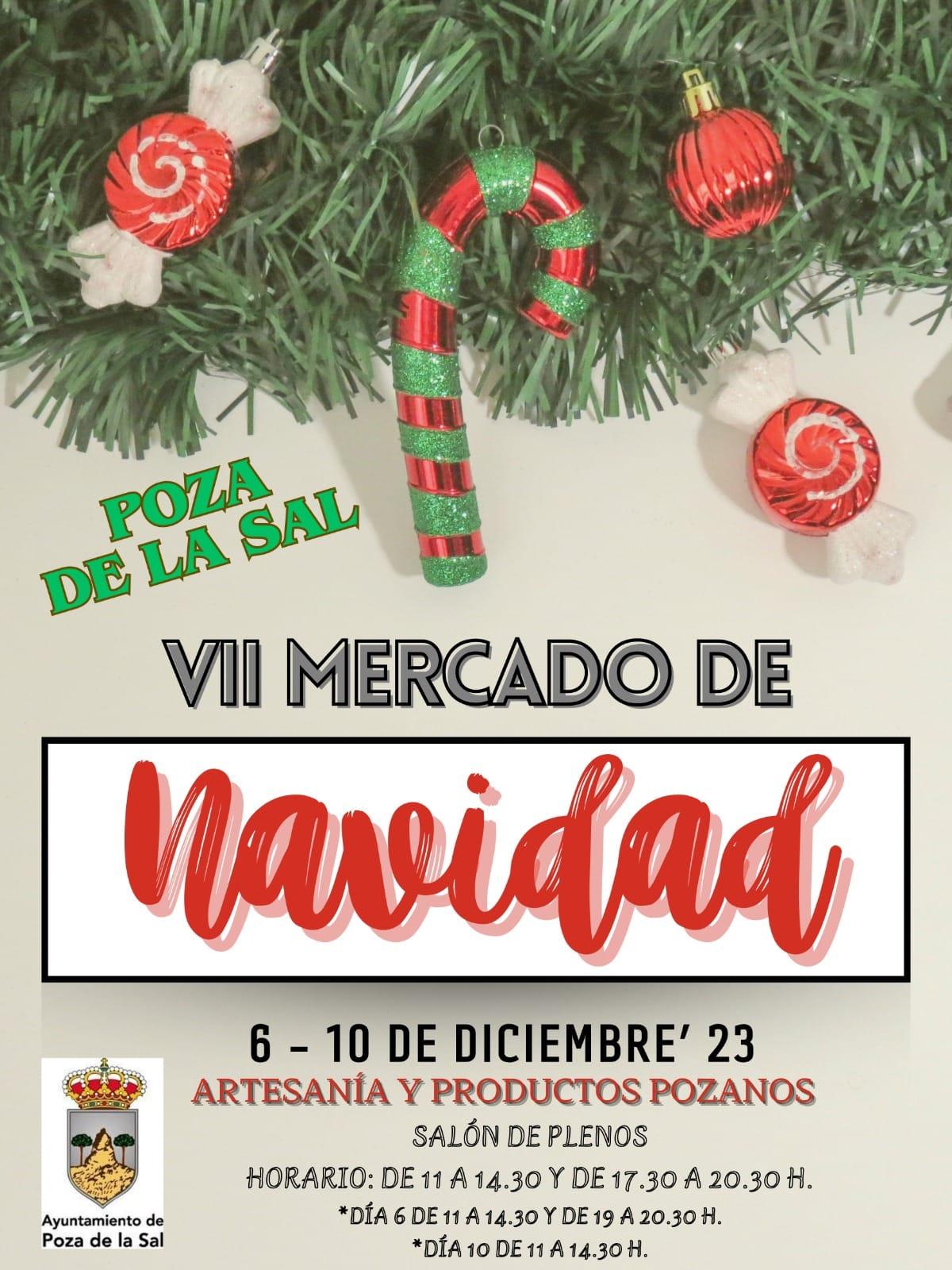 VII Mercado de Navidad. Poza de la Sal