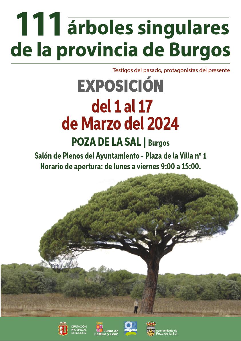 Exposición. 111 árboles singulares de la provincia de Burgos.