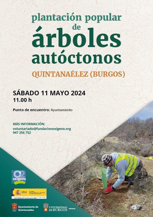 Plantación popular de árboles autóctonos. Quintanaelez