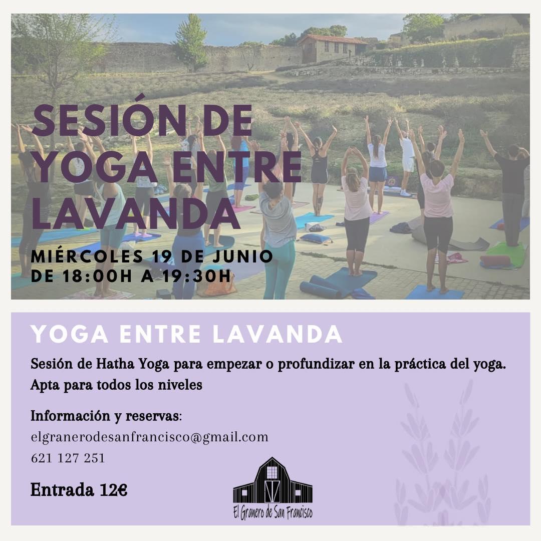 Sesión de yoga entre lavanda