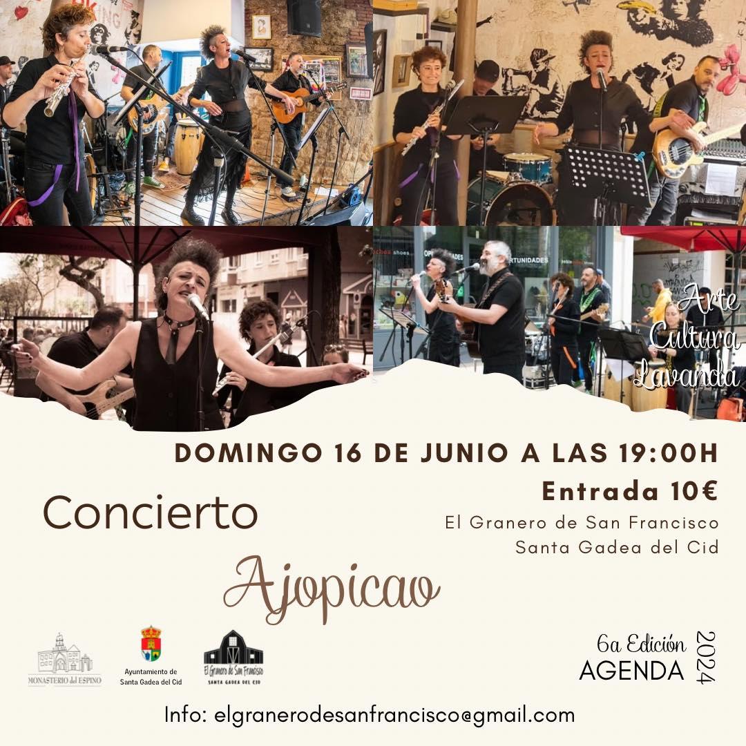 Concierto Ajopicao