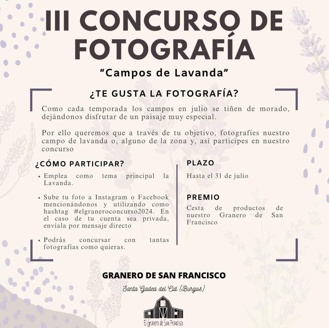 III Concurso de fotografía.  Campos de lavanda