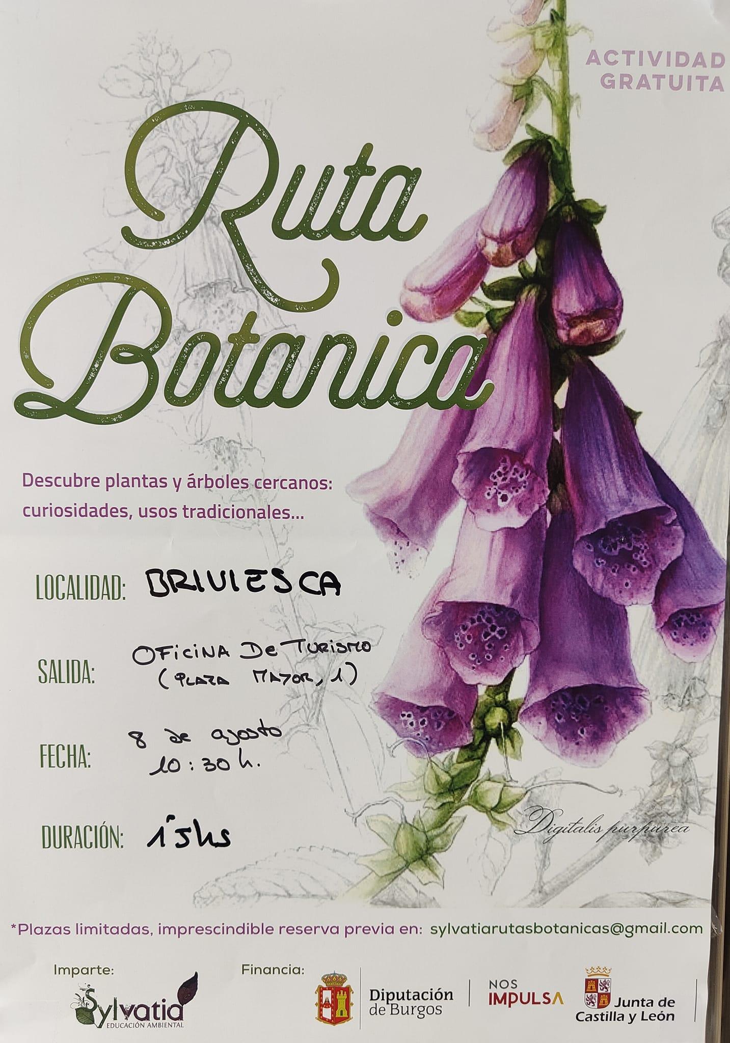 Ruta botánica 