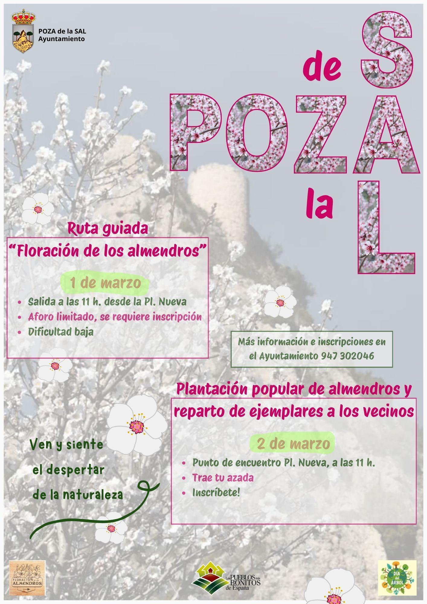 Floración almendros. Poza de la Sal