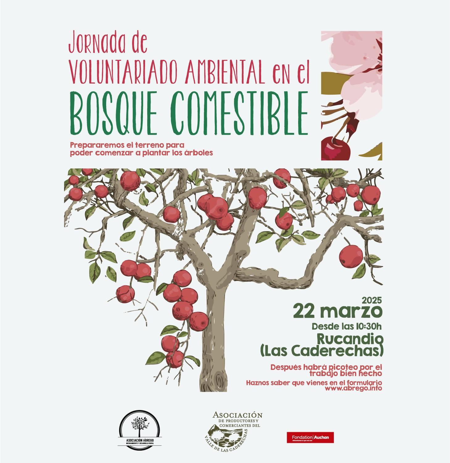 Jornada de voluntariado ambiental en el bosque comestible