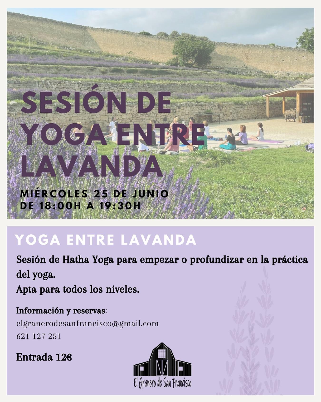 Sesión de yoga entre lavanda