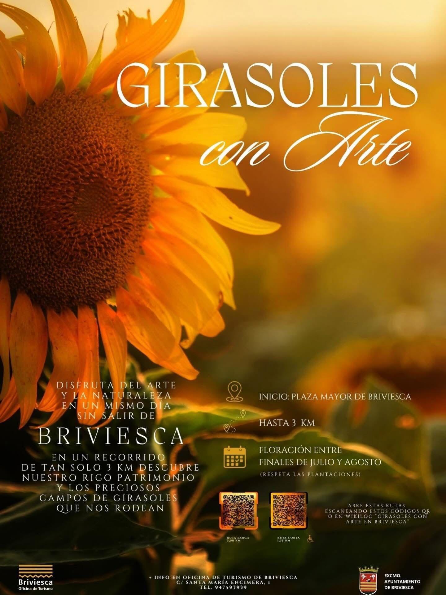 Girasoles con Arte