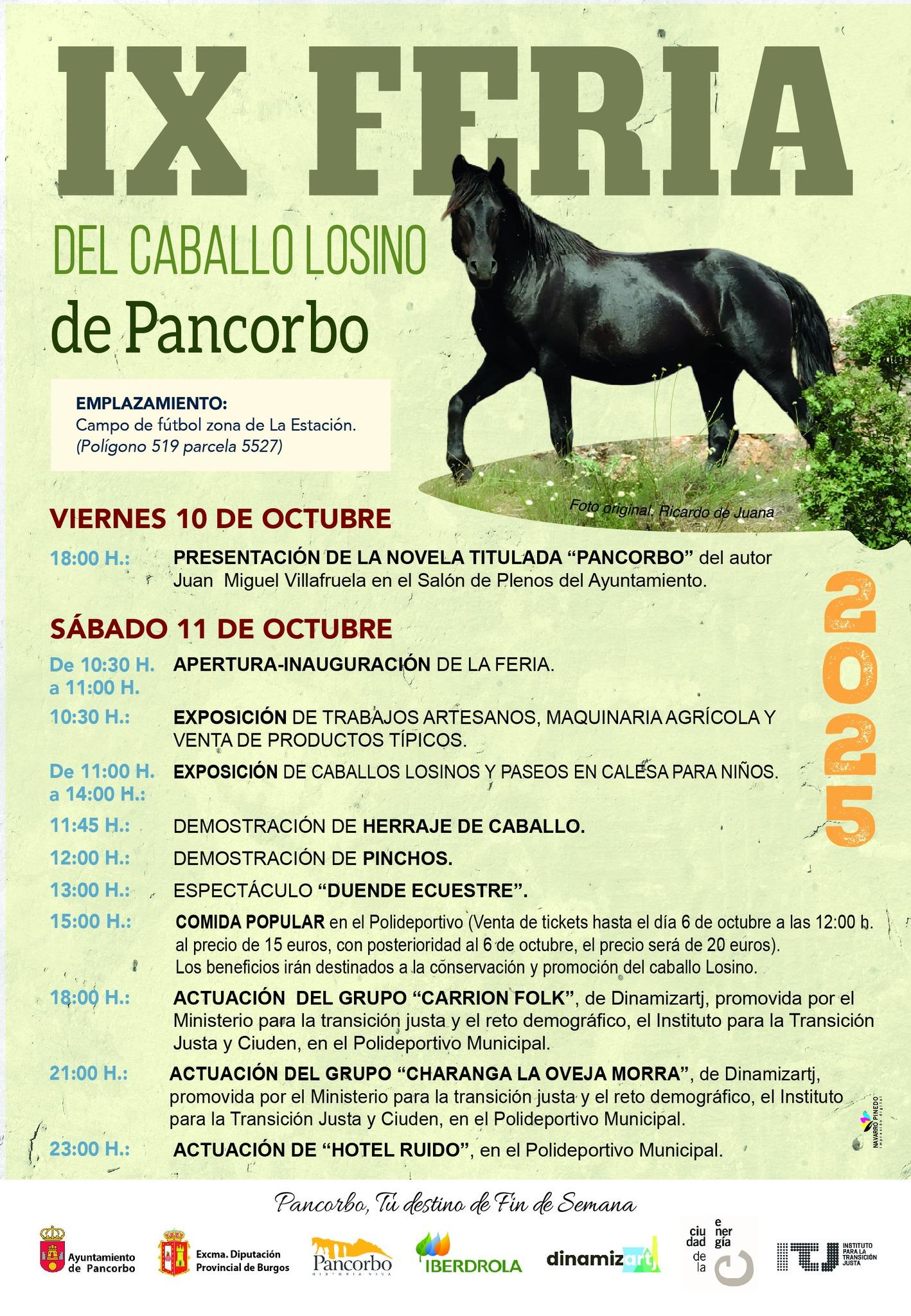 Feria del caballo losino. Pancorbo