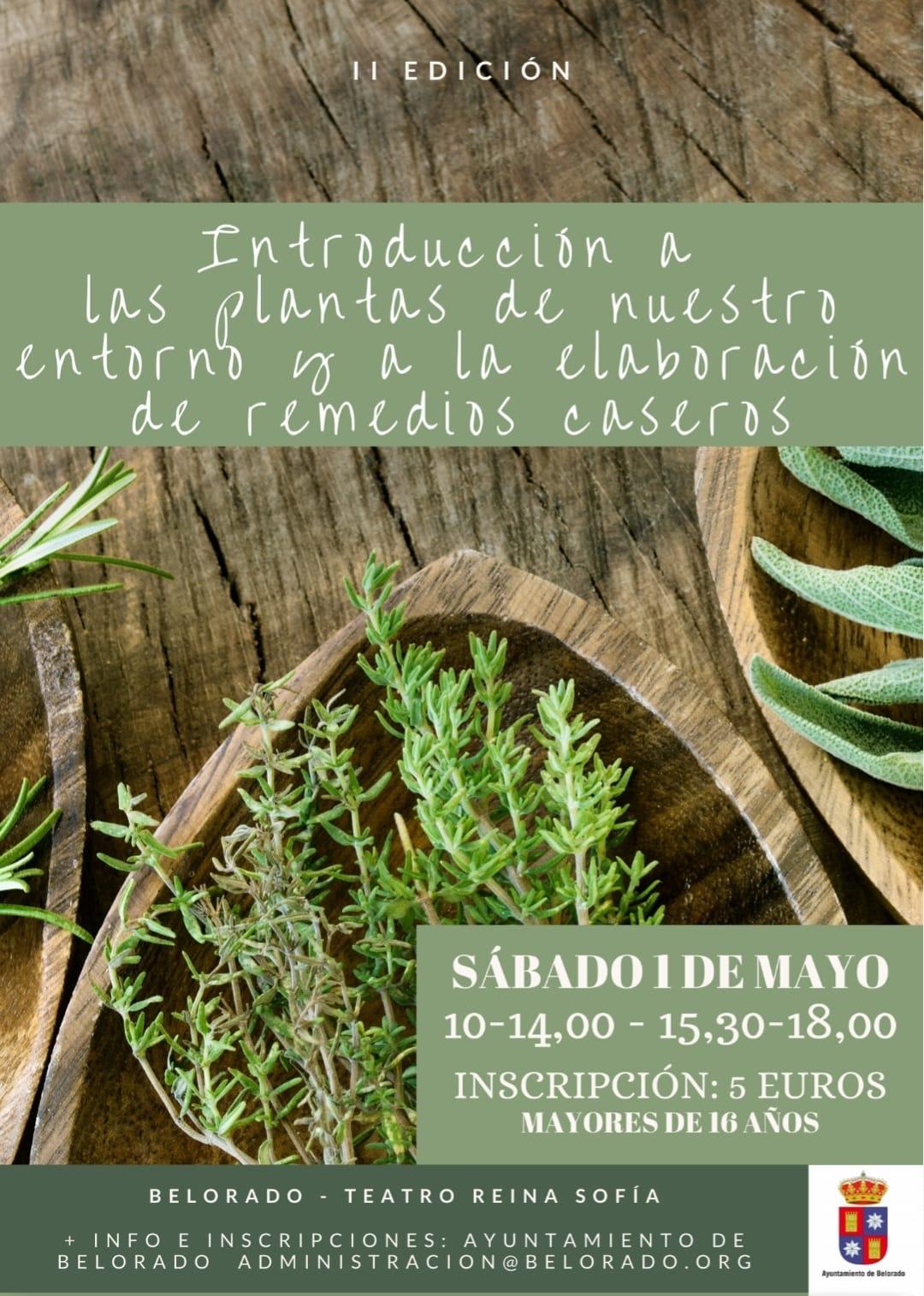 Introducción a las plantas de nuestro entorno y a la elaboración de remedios caseros