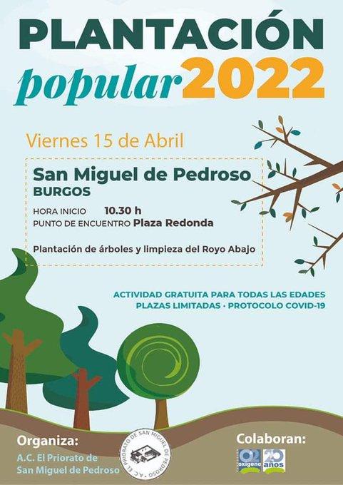 Plantación popular 2022