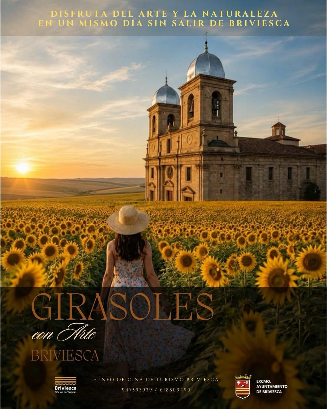 Girasoles con Arte. Briviesca