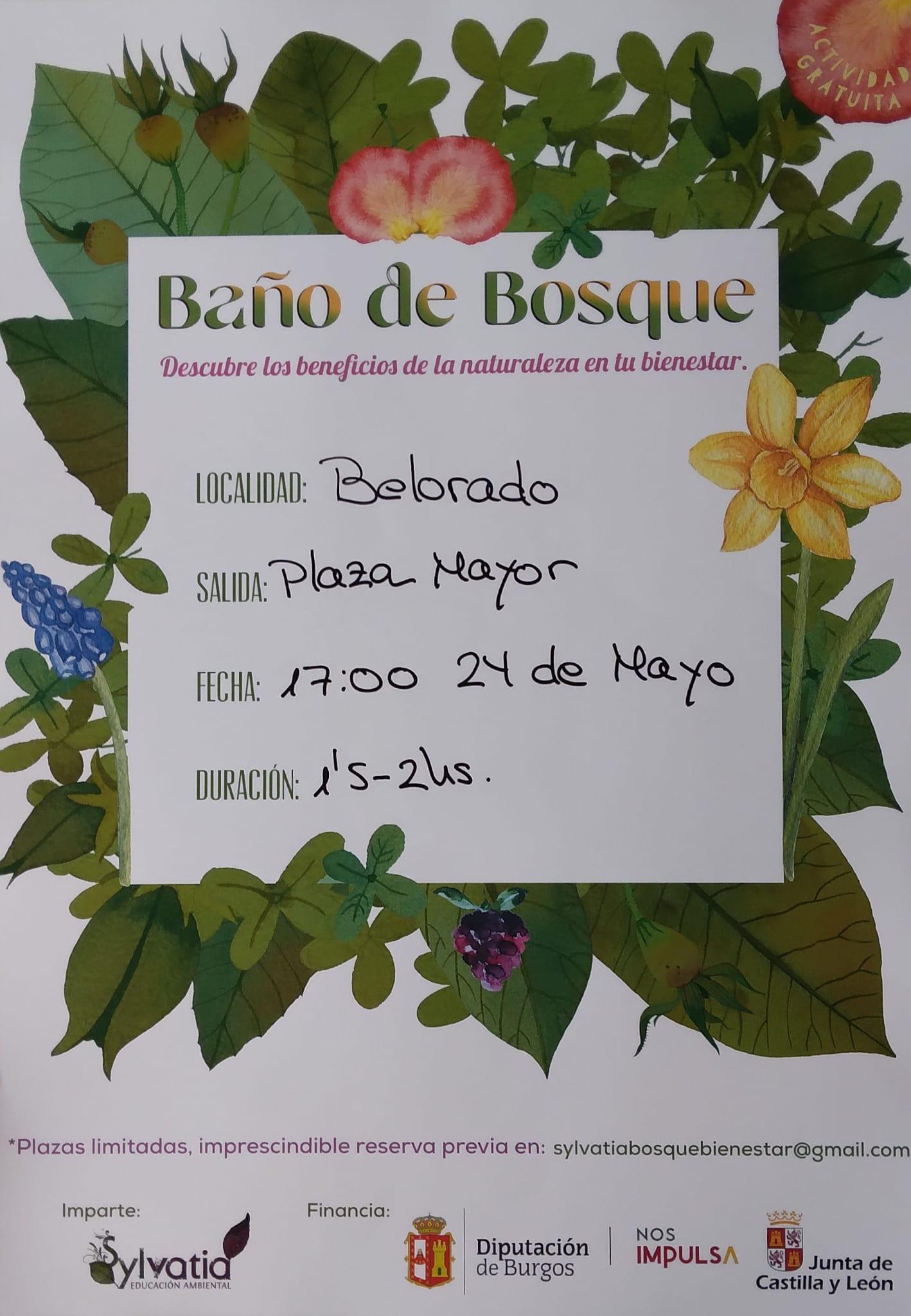 Baño de Bosque. Belorado